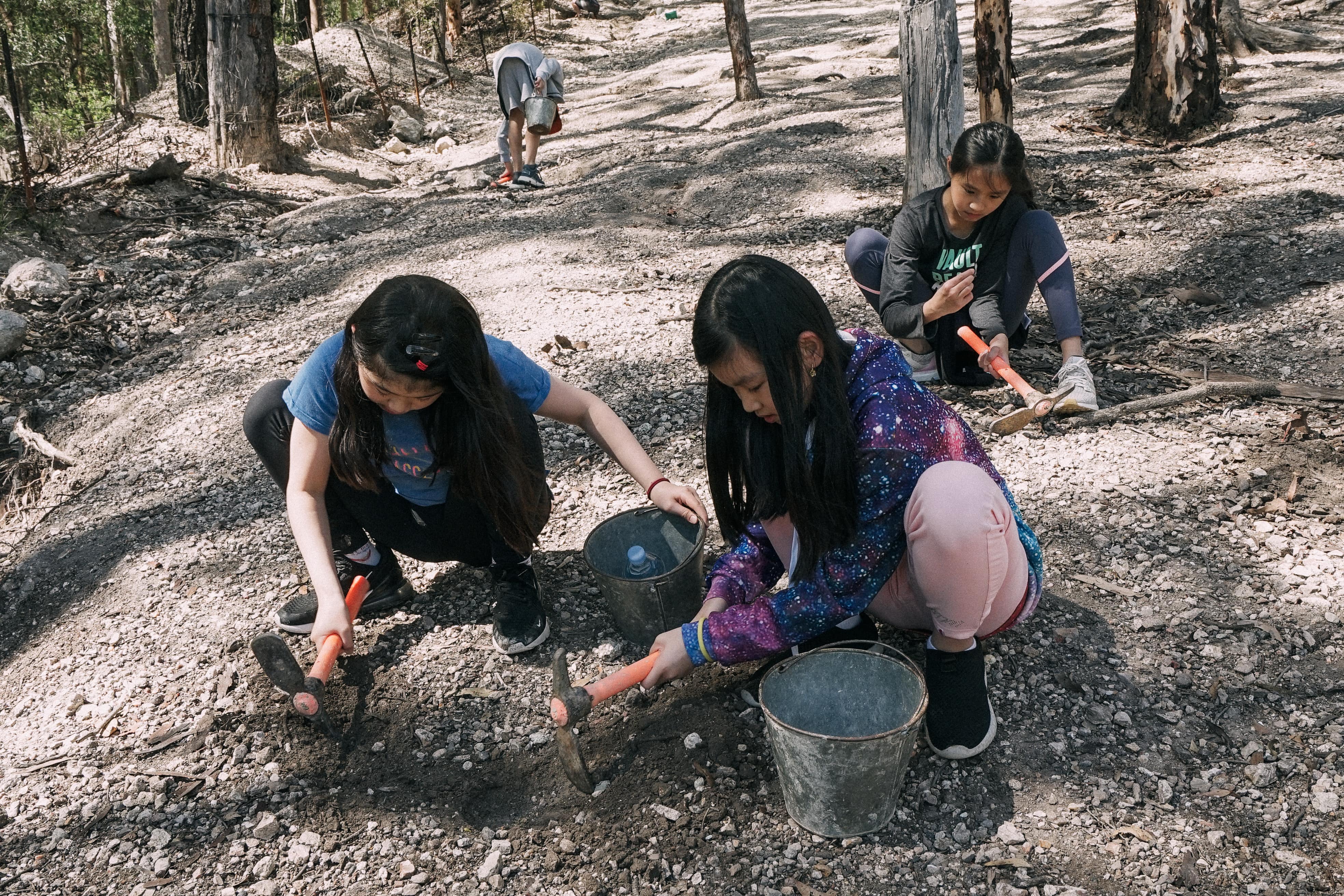 Thunder Egg Fossicking at Thunderbird Park