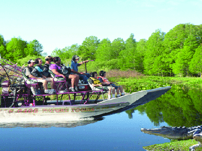 Alligator Airboat Tour