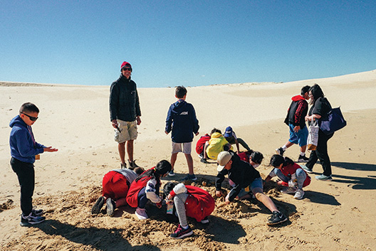 Geography at Stockton Bight Sand Dunes