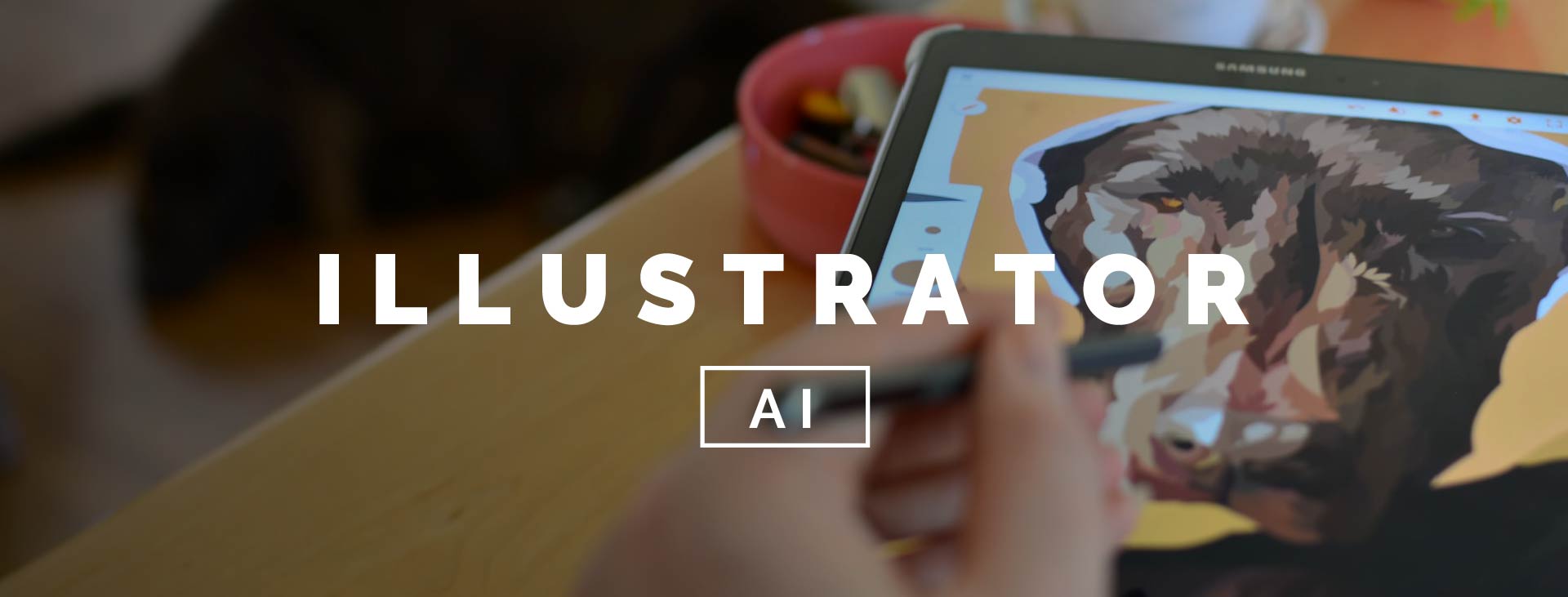 Illustrator